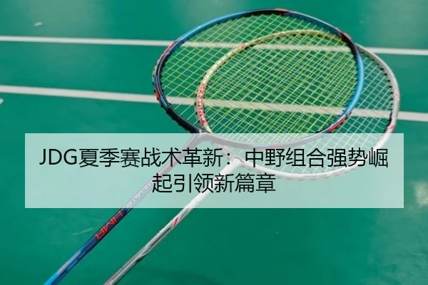 JDG夏季赛战术革新：中野组合强势崛起引领新篇章