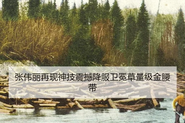 张伟丽再现神技震撼降服卫冕草量级金腰带 | HG